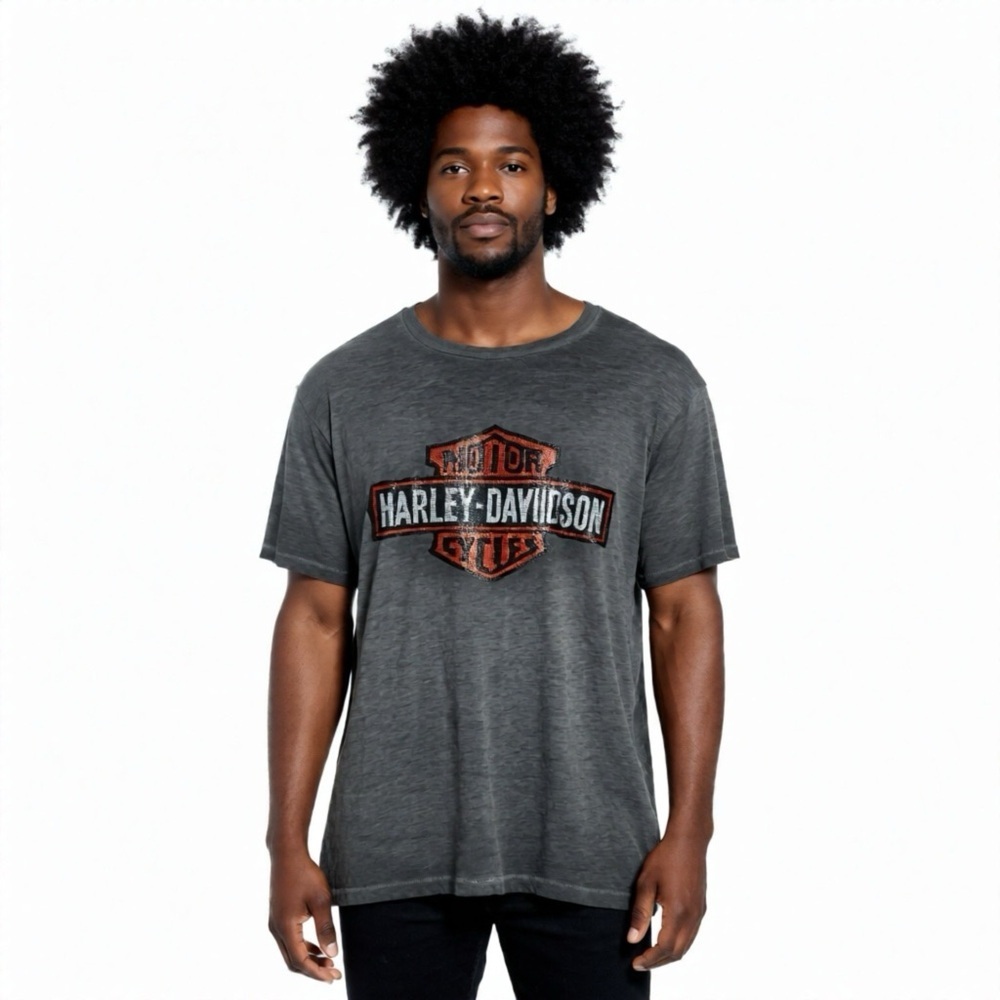 Harley-Davidson Gray Men's T-Shirt Size 2XL